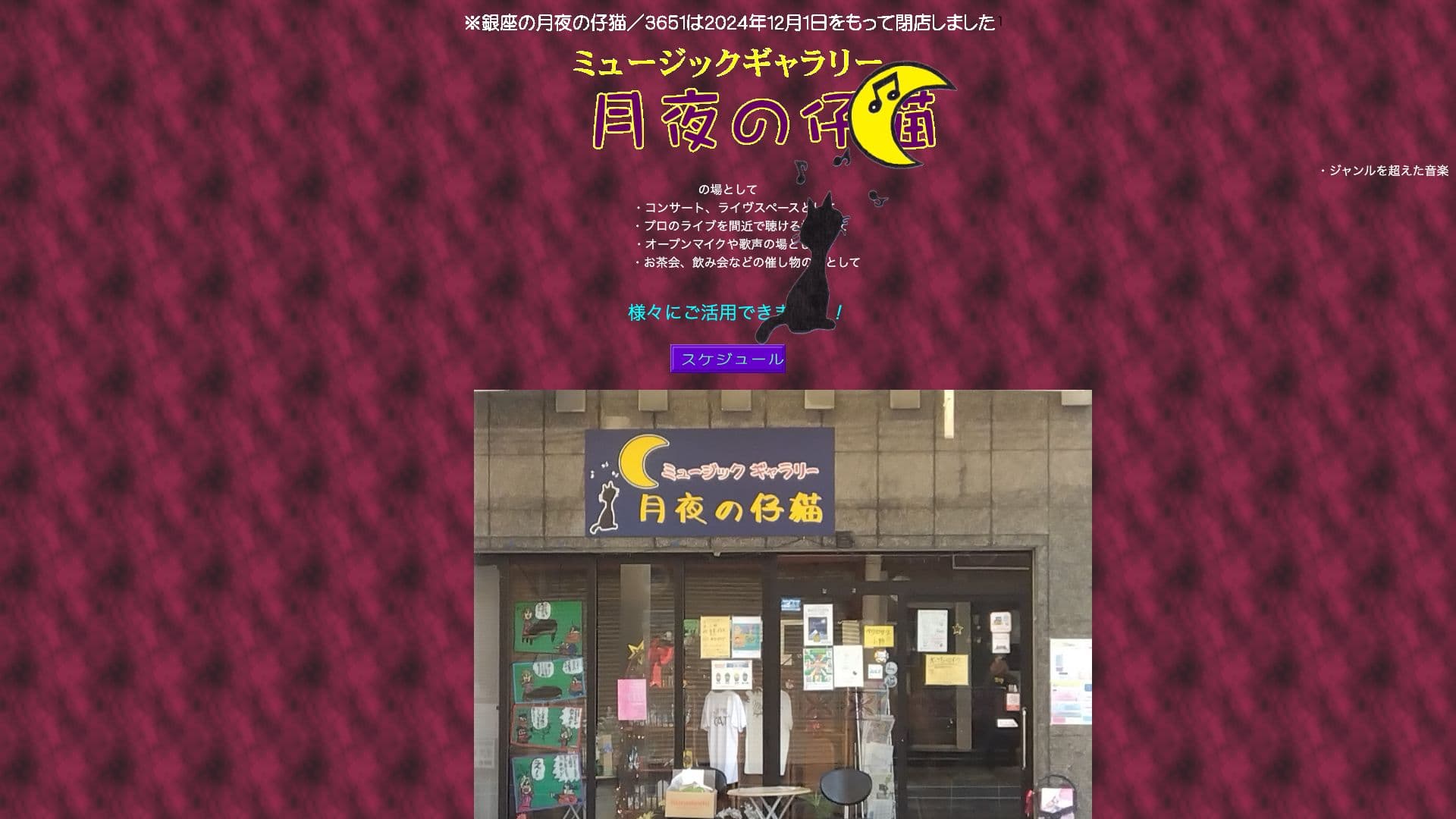 月夜の仔猫の画像